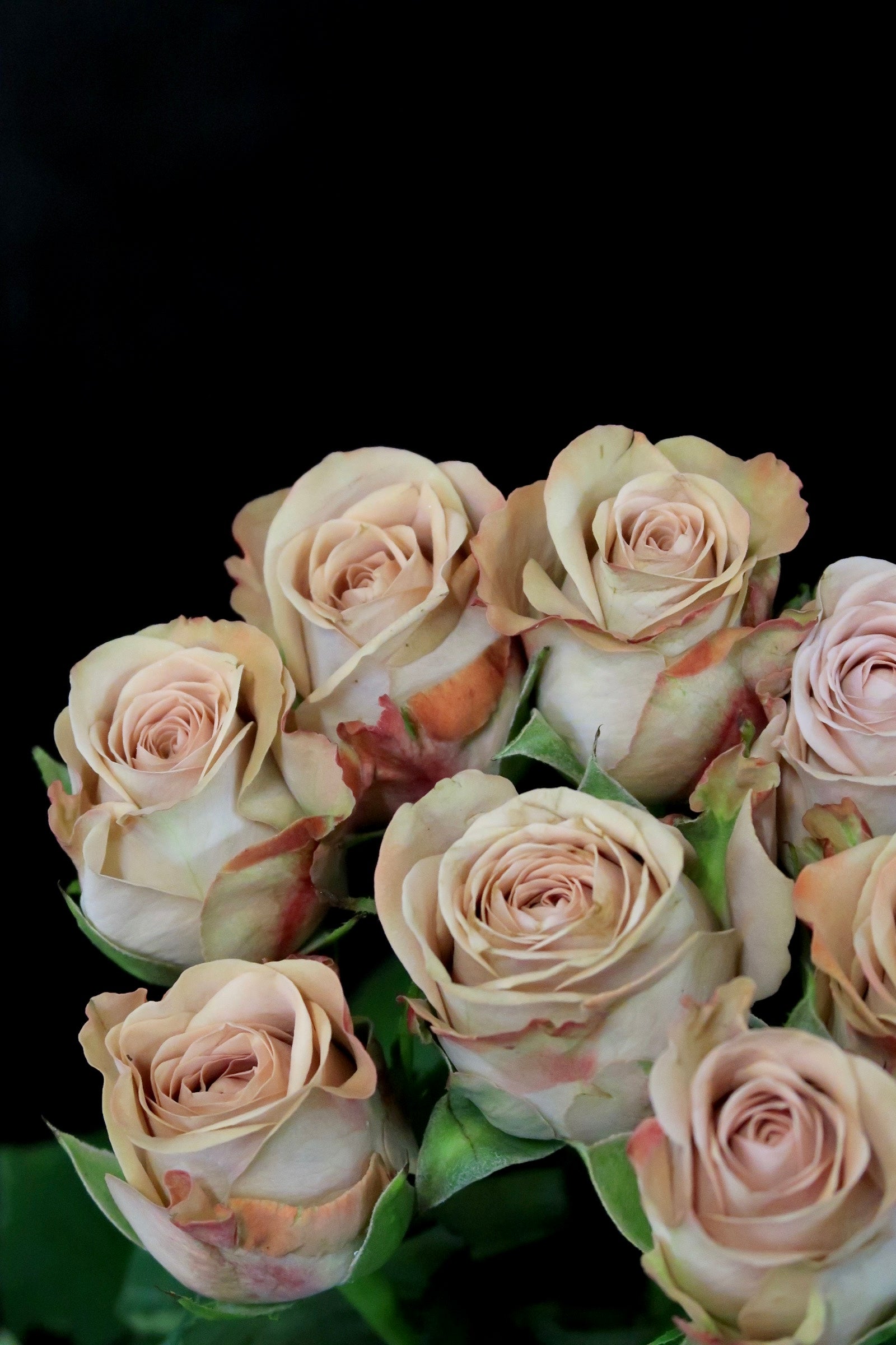 Cappuccino Rose Bouquet