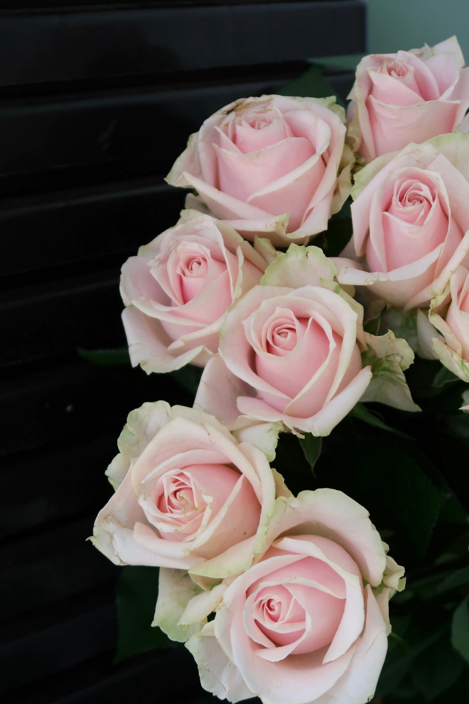 Light Pink Rose Bouquet
