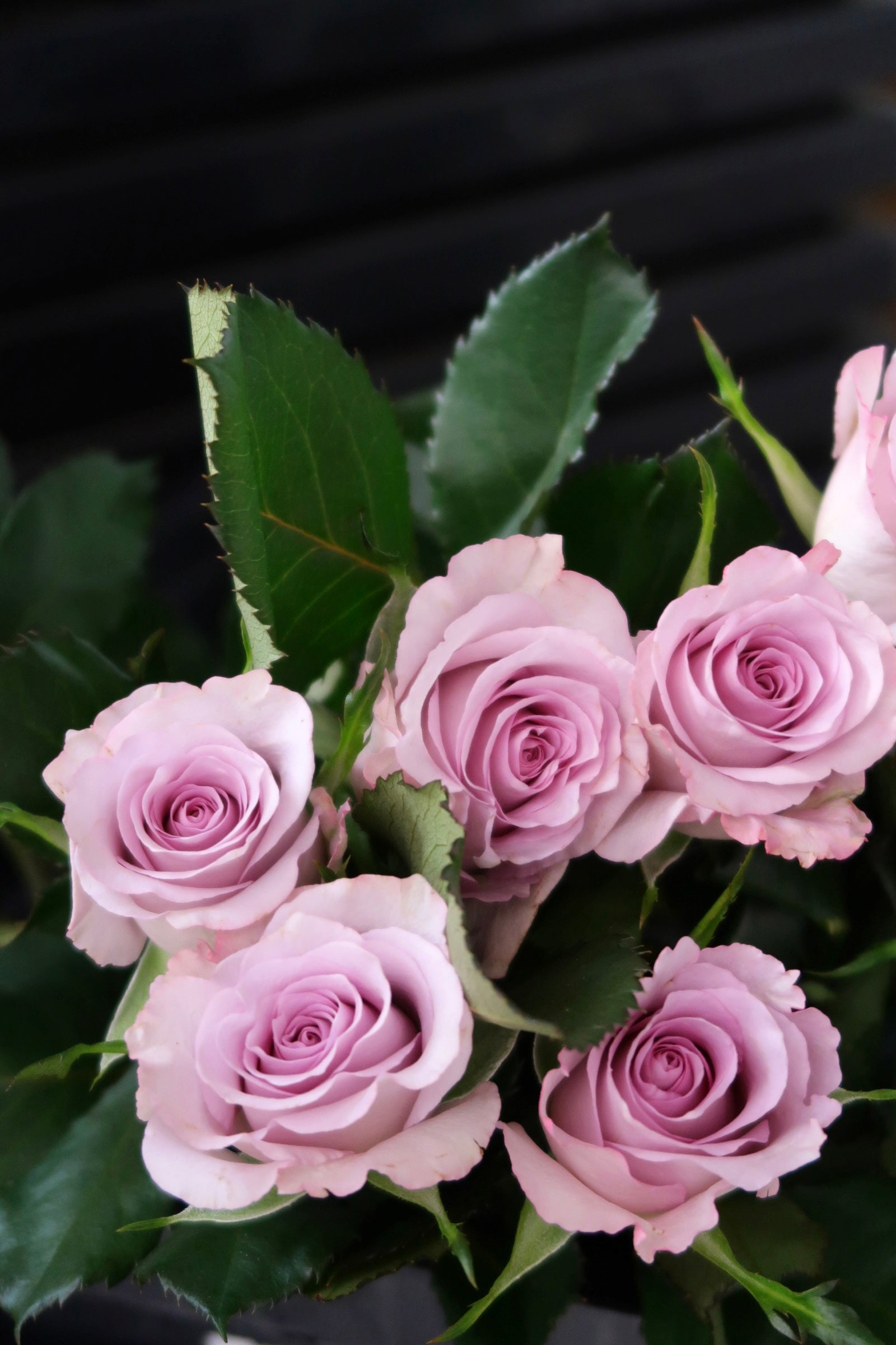 Purple Rose Bouquet