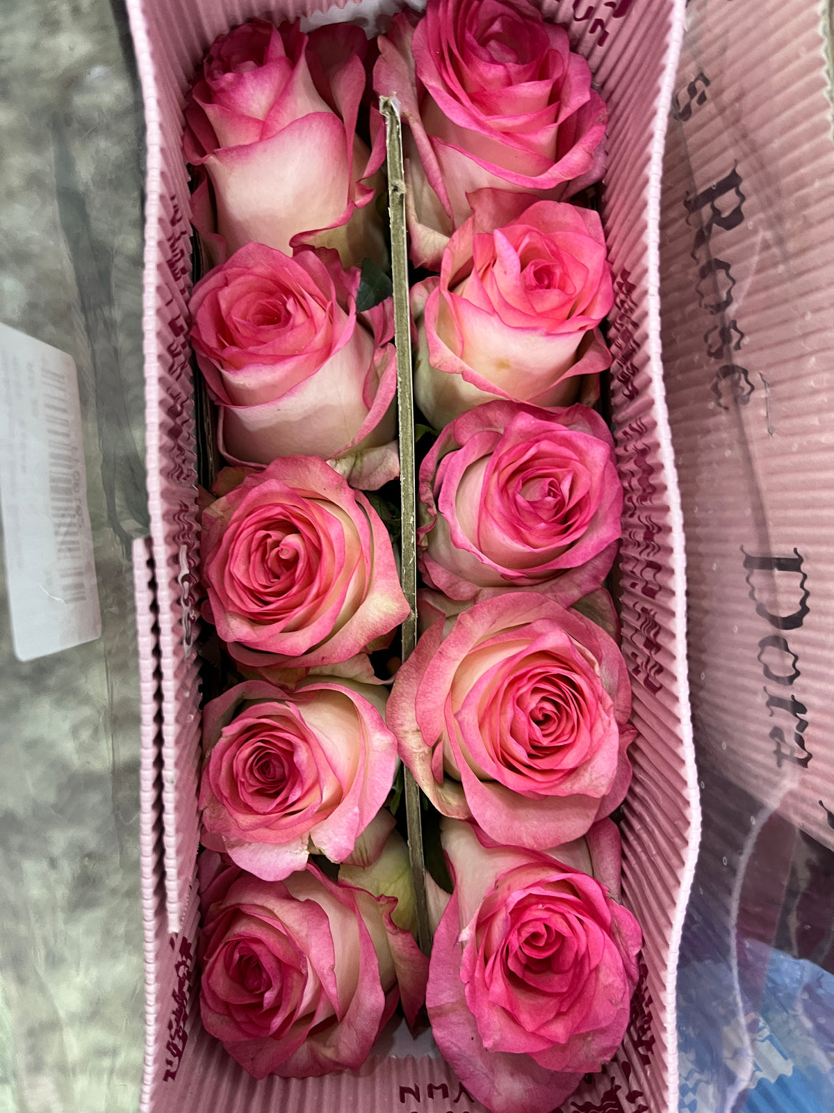Rose - Essar