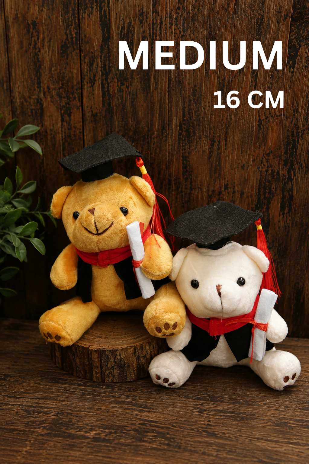Teddy Bear - Medium 16cm