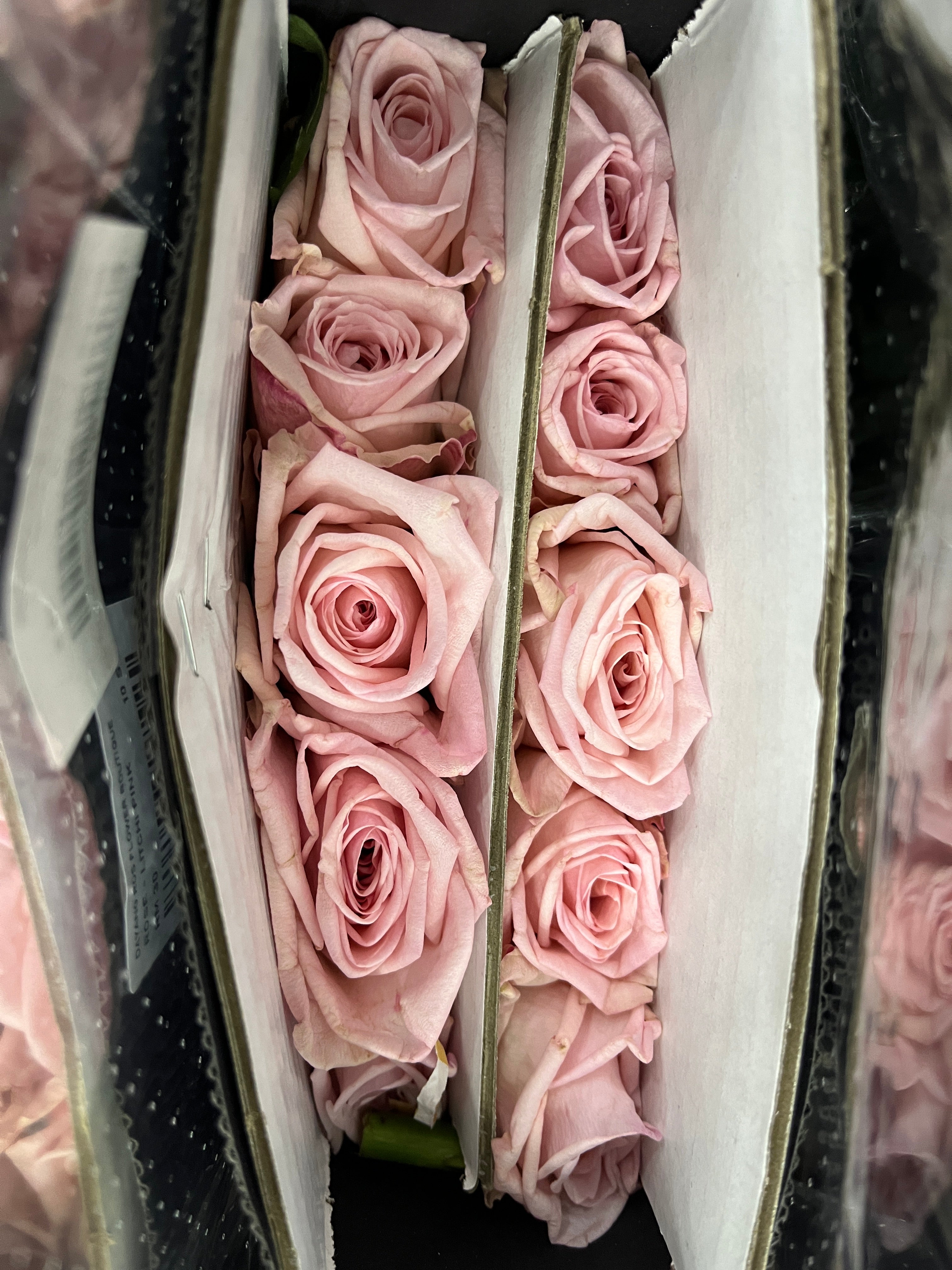 Rose - Litchi Pink