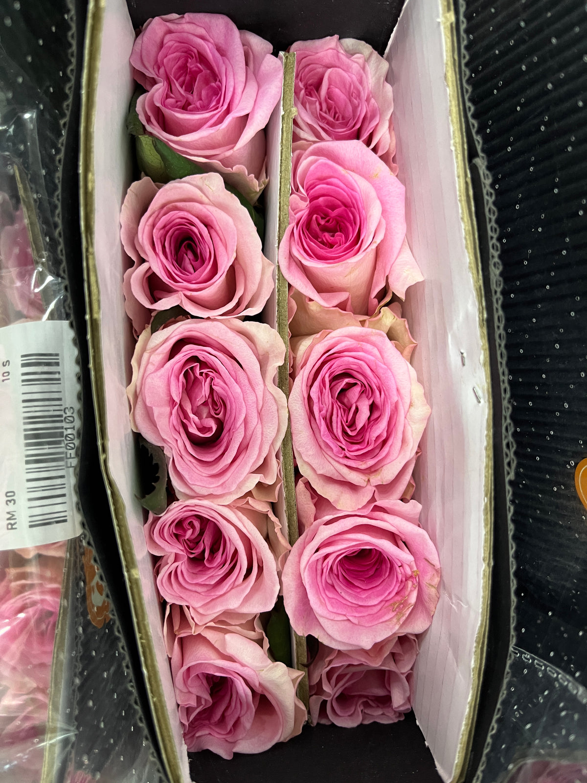 Rose - Roselle