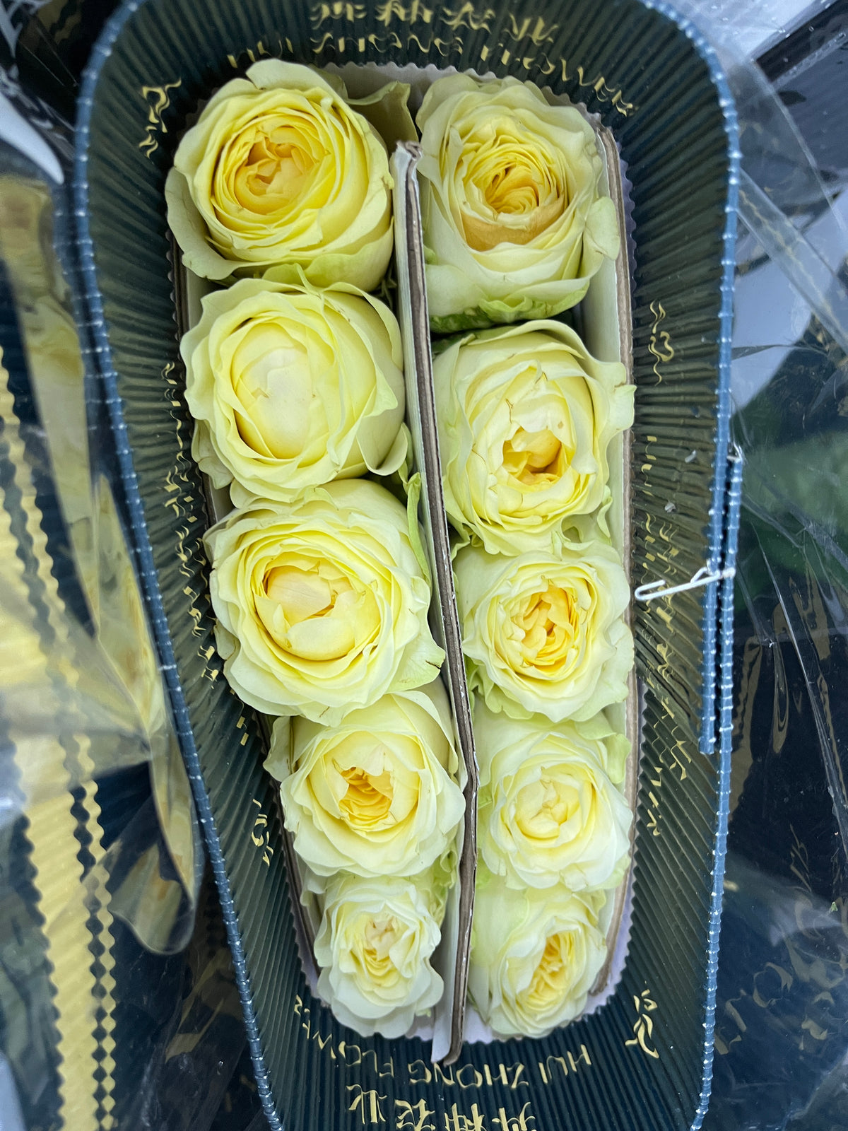 Rose - Cream Cup