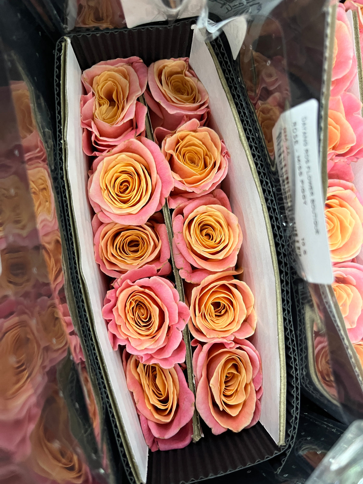 Rose - Miss Piggy