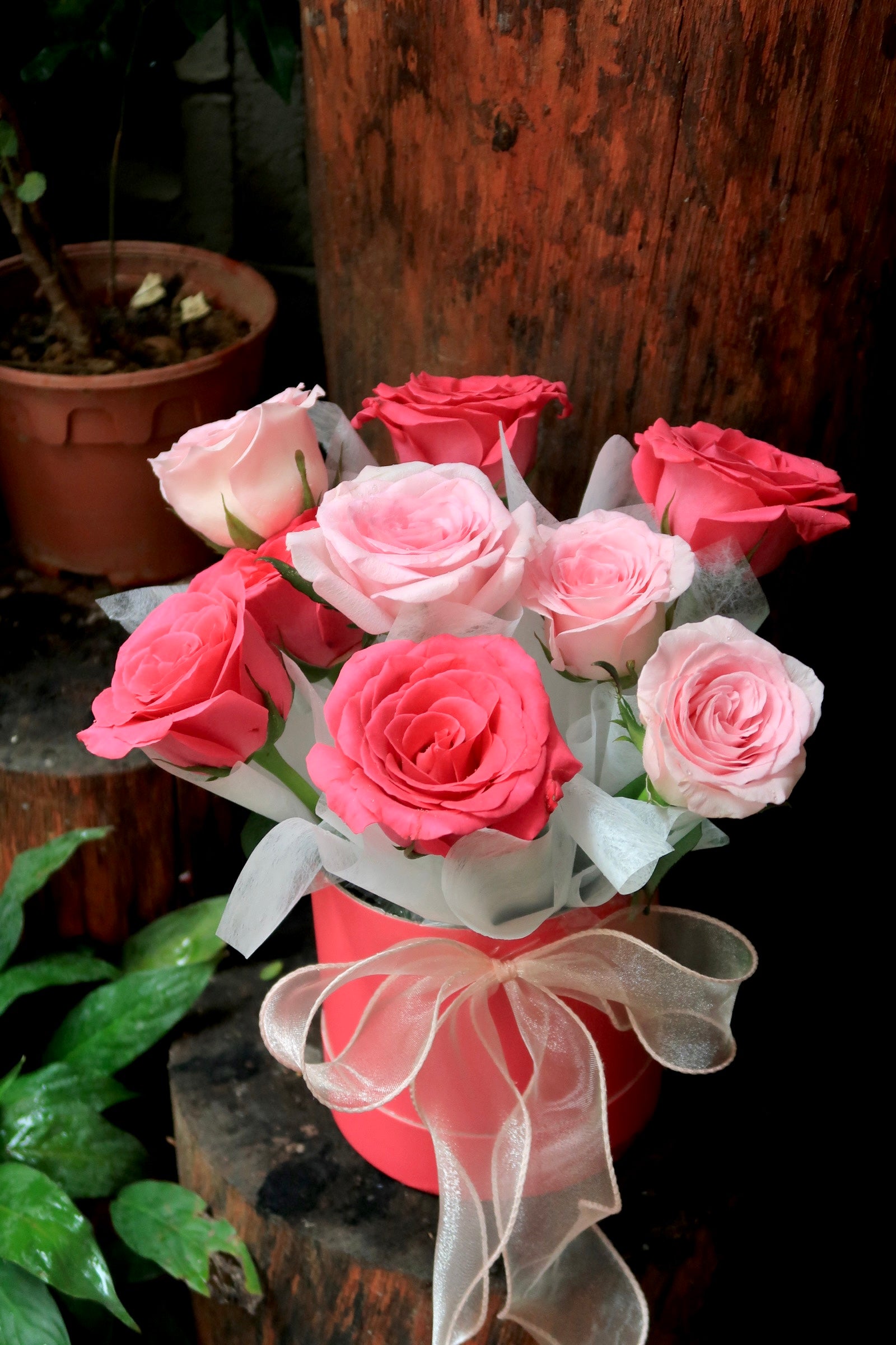 Bloom Boxy