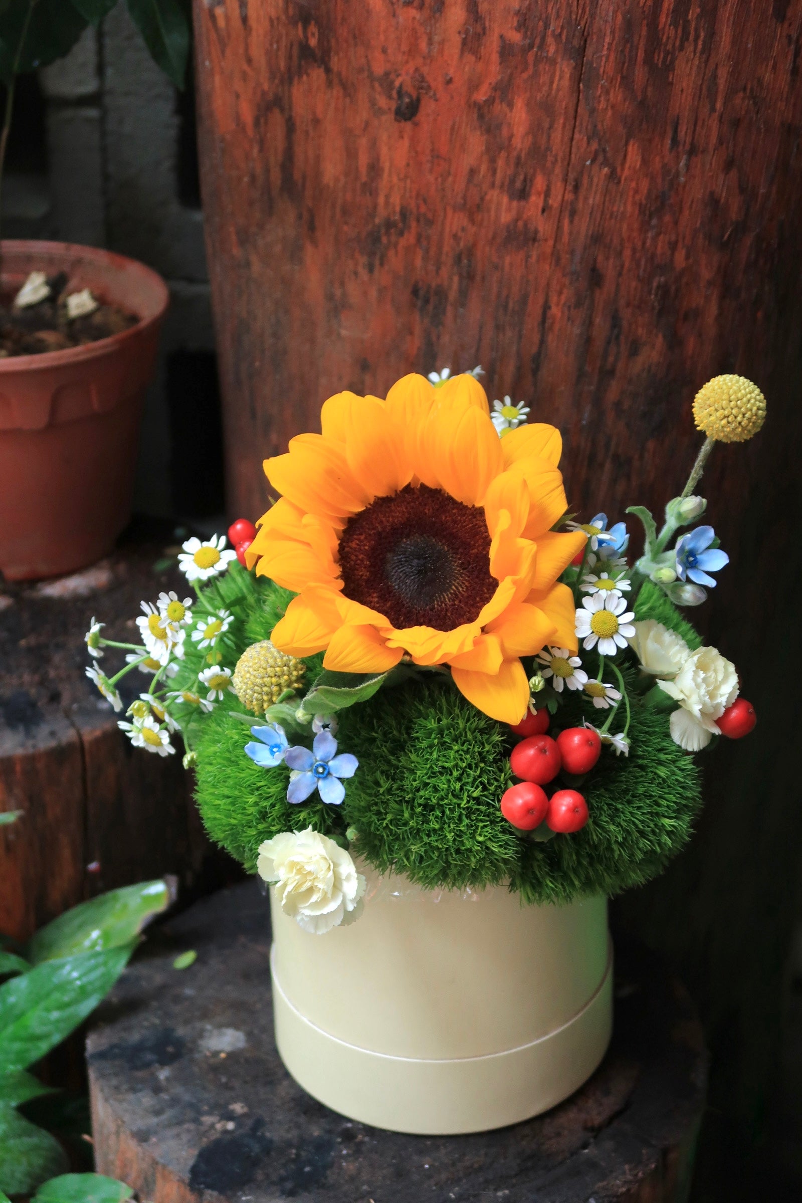 Bloom Boxy