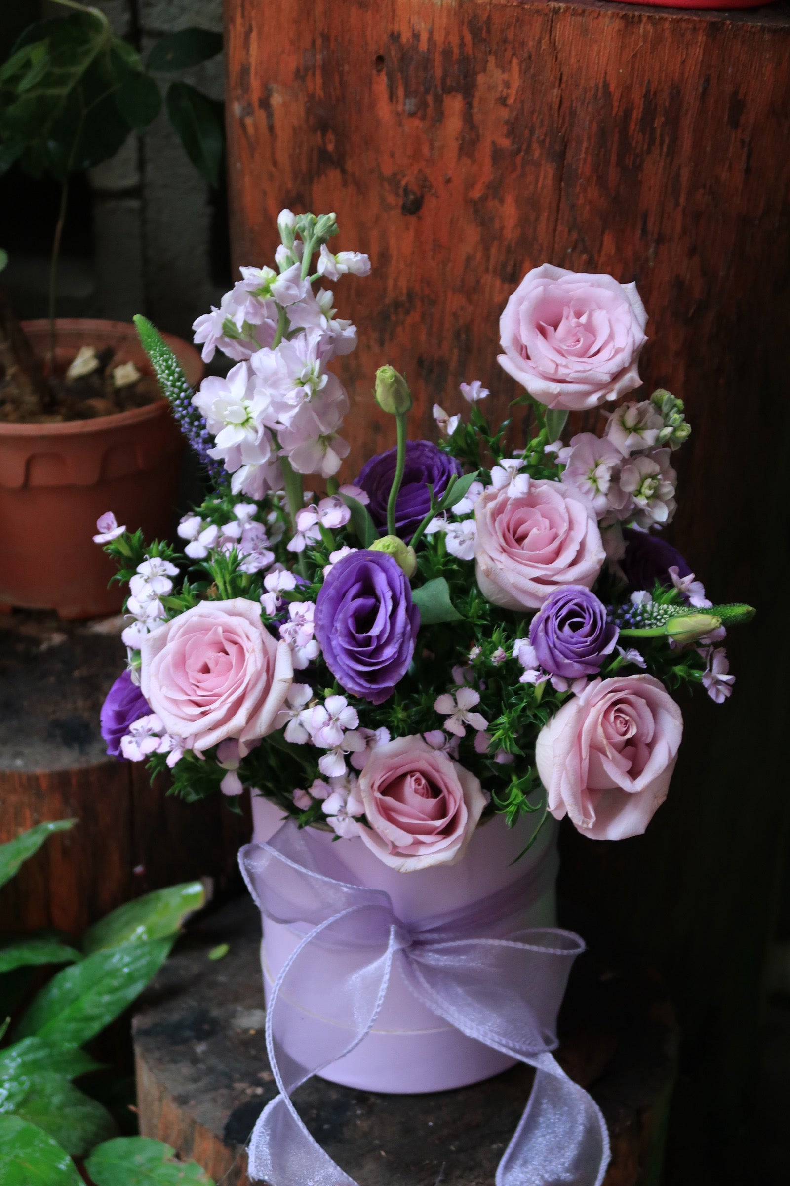 Bloom Boxy