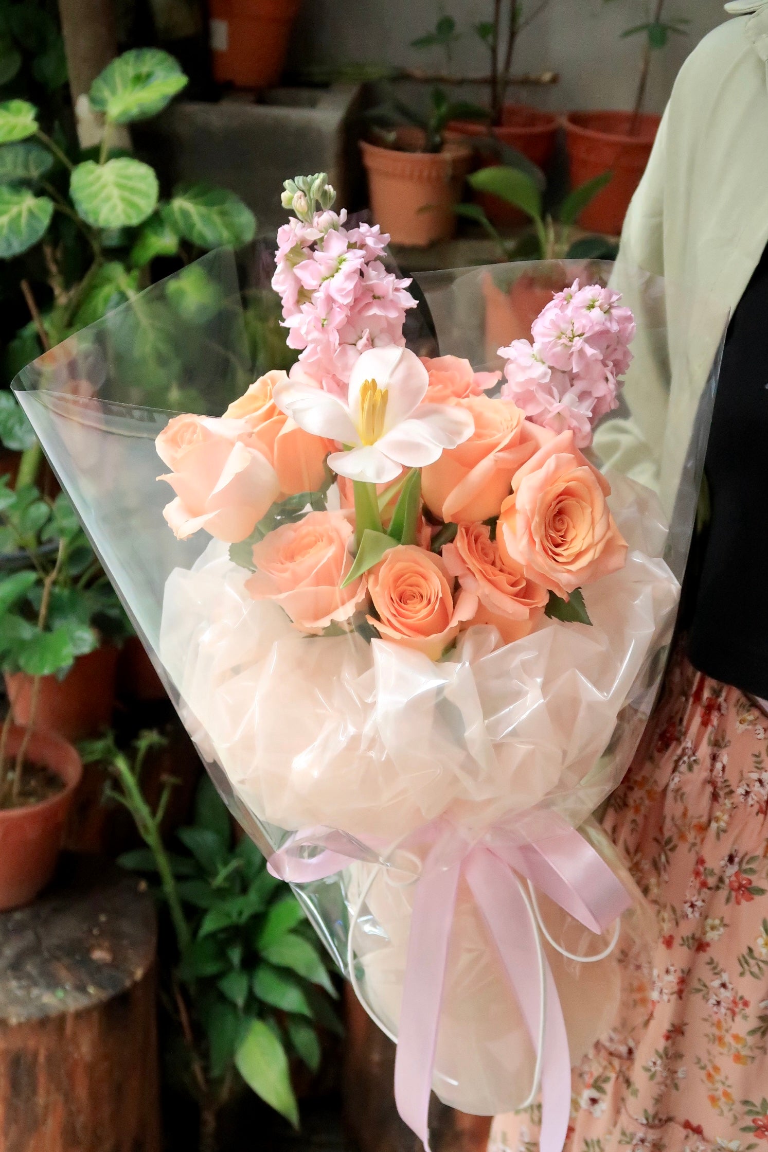 Bubbly Bloom
