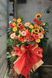 Festive Bloom