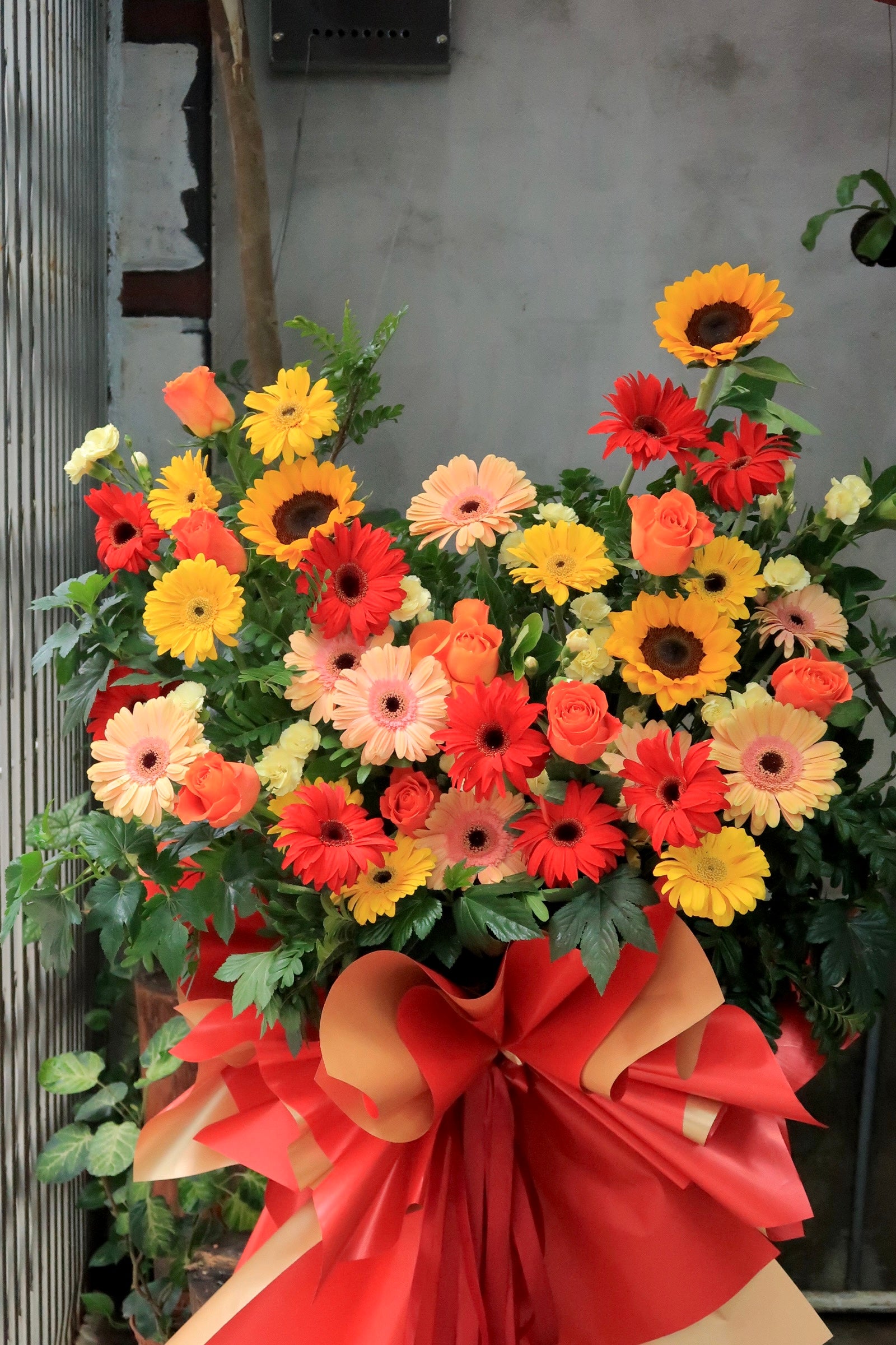 Festive Bloom
