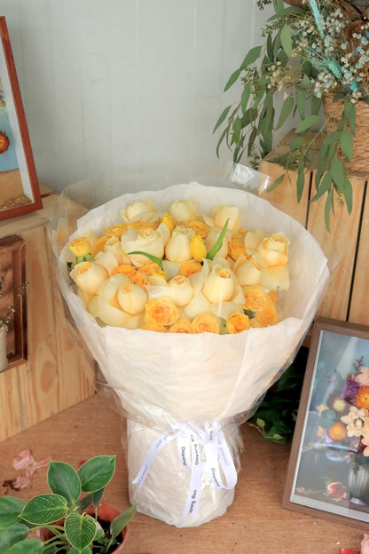 V18 - Bright Journey