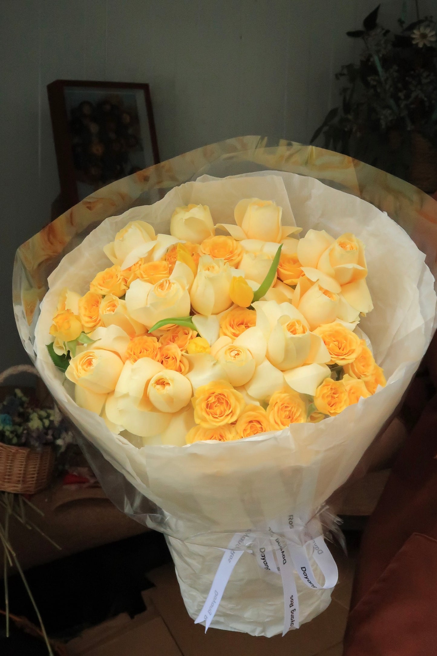 V18 - Bright Journey