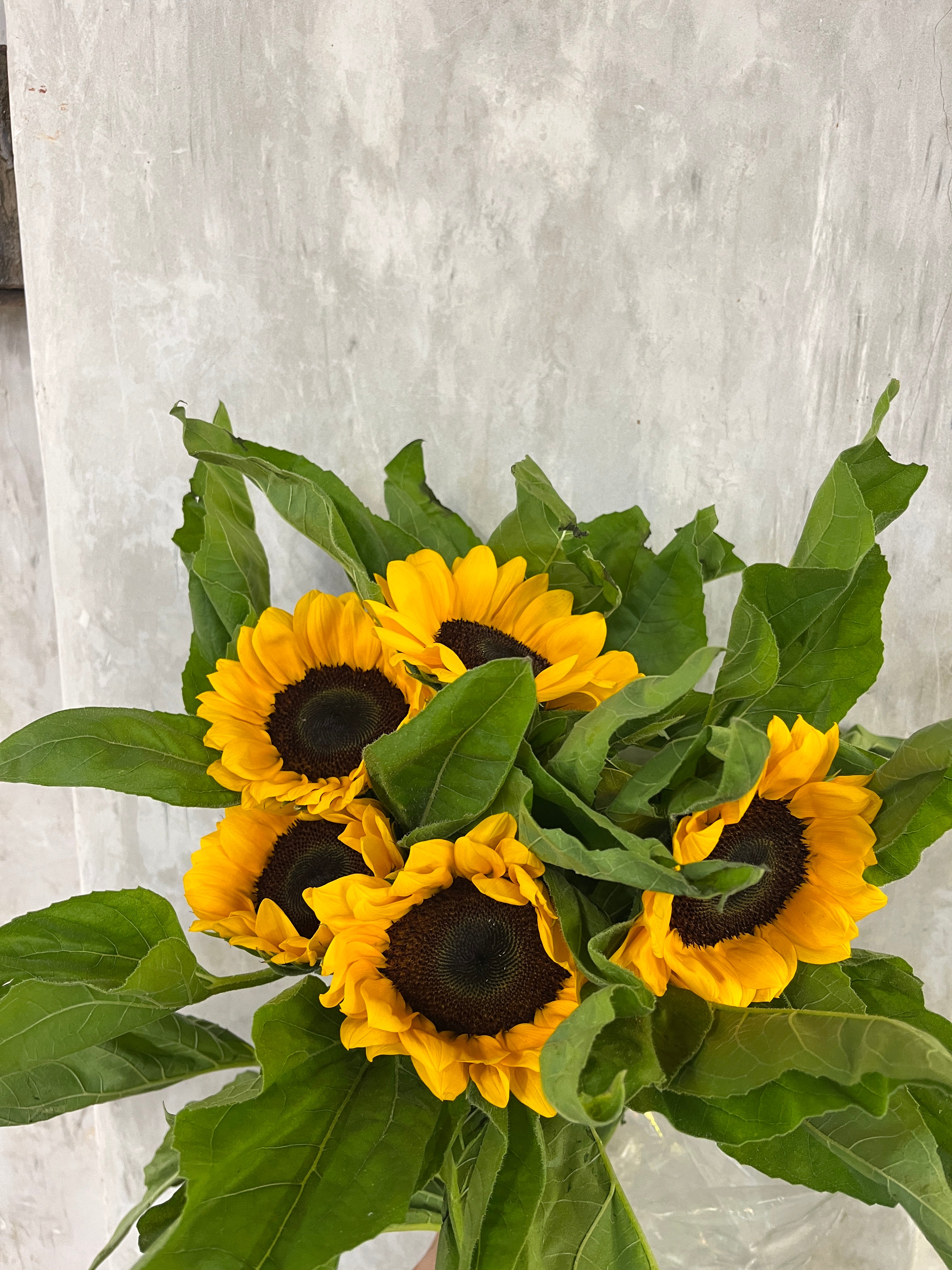 Sunflower Local