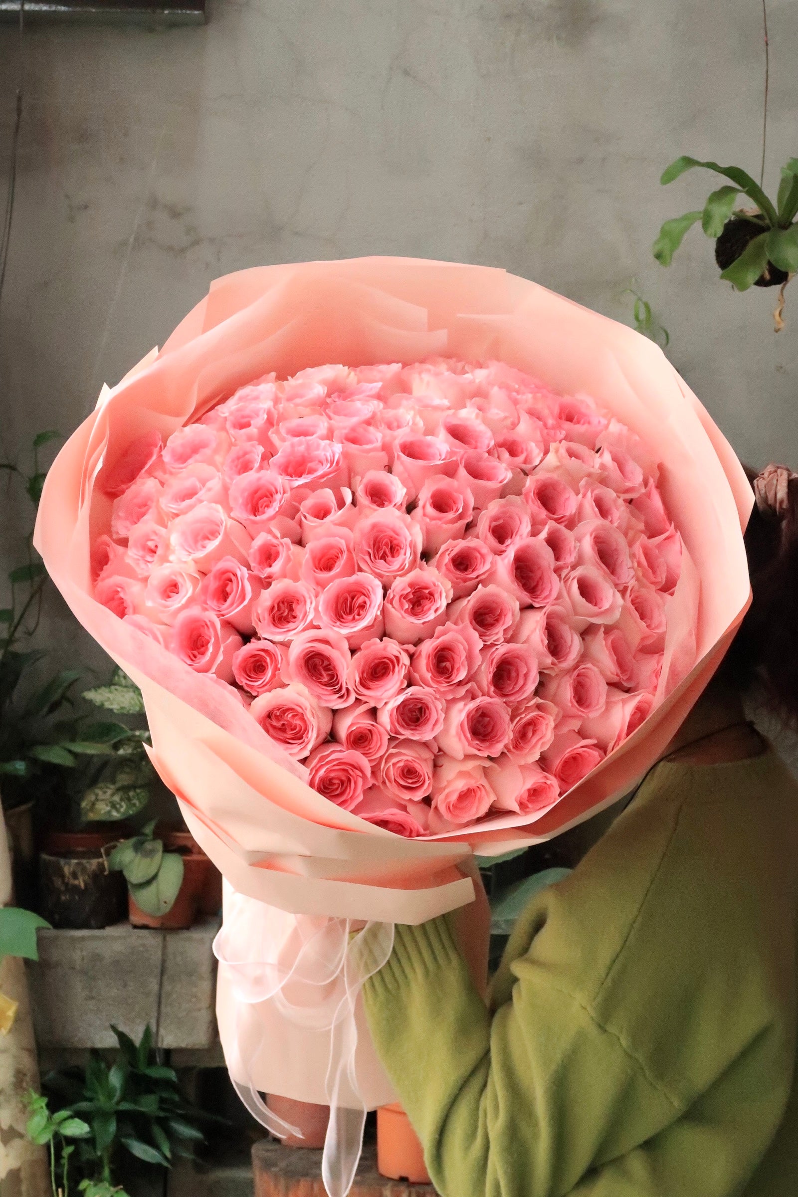 V16 - Ultimate Valentine