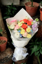 Fun Bloom