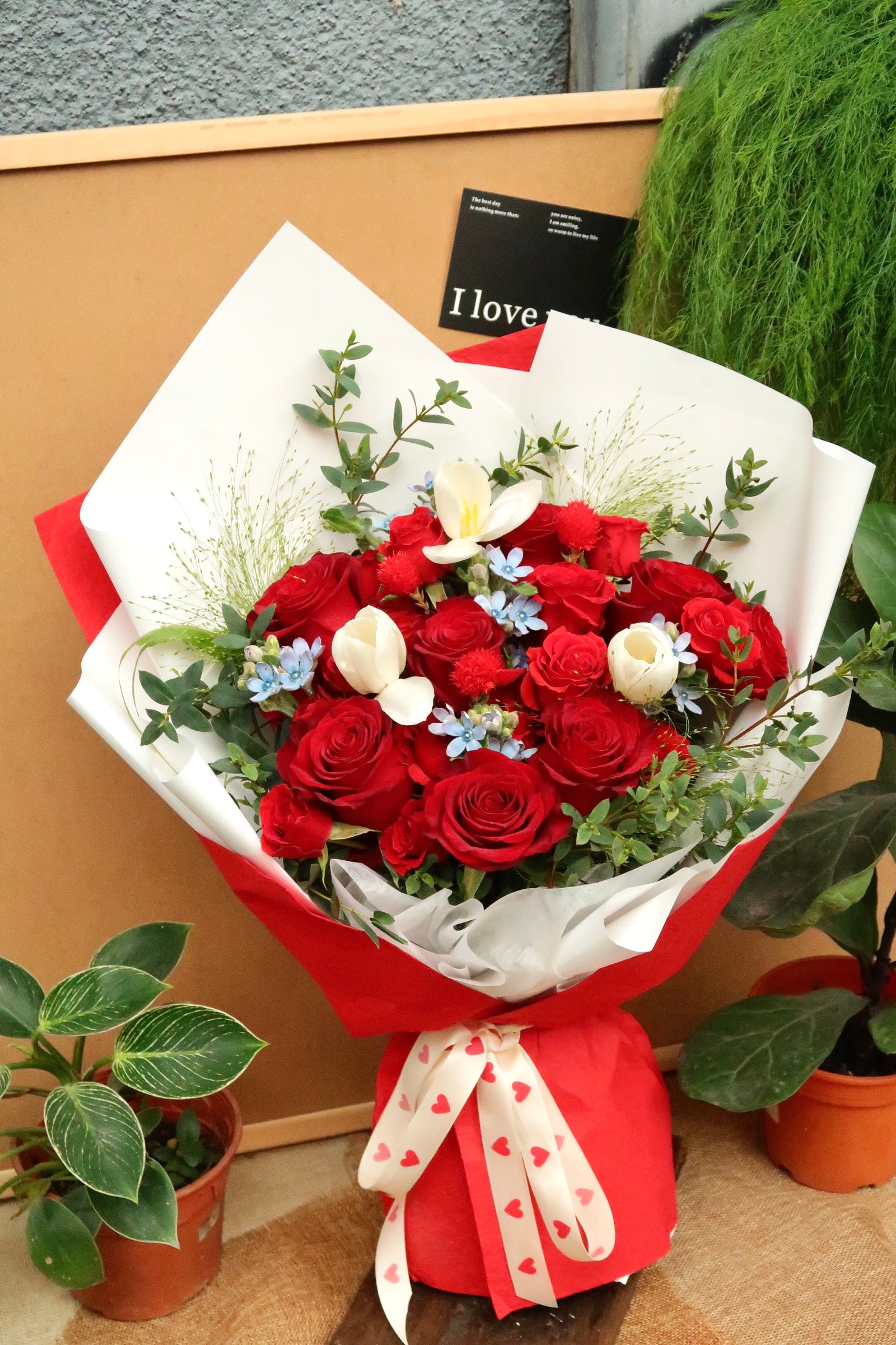 V01 - Cupid’s Call