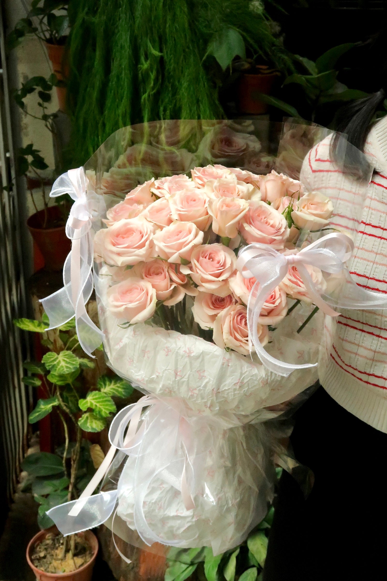 V14 - Softly in Love