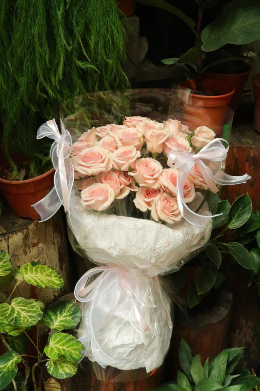 V14 - Softly in Love