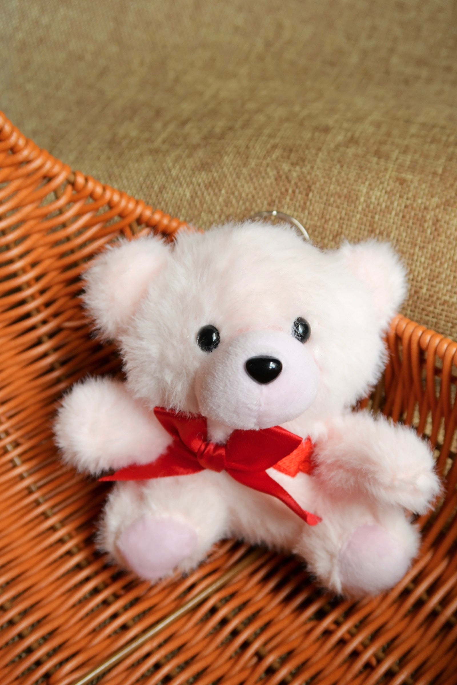 Teddy Bear - Valentines Collection