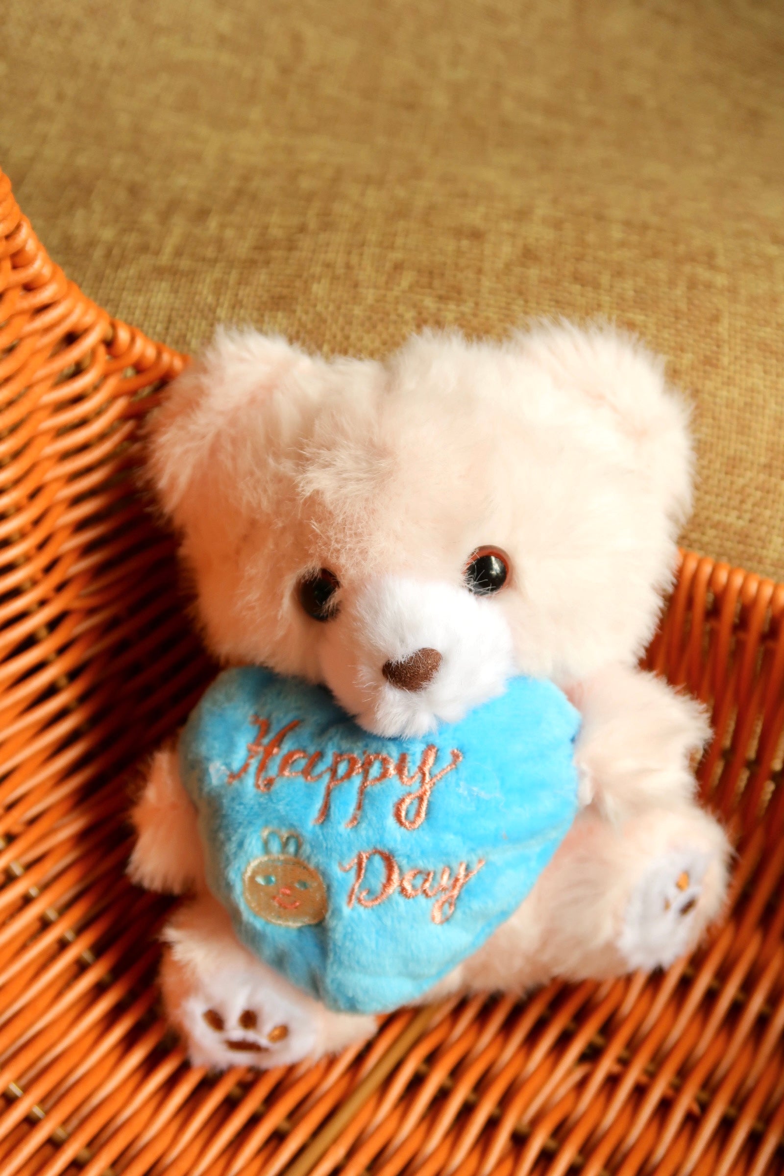Teddy Bear - Valentines Collection