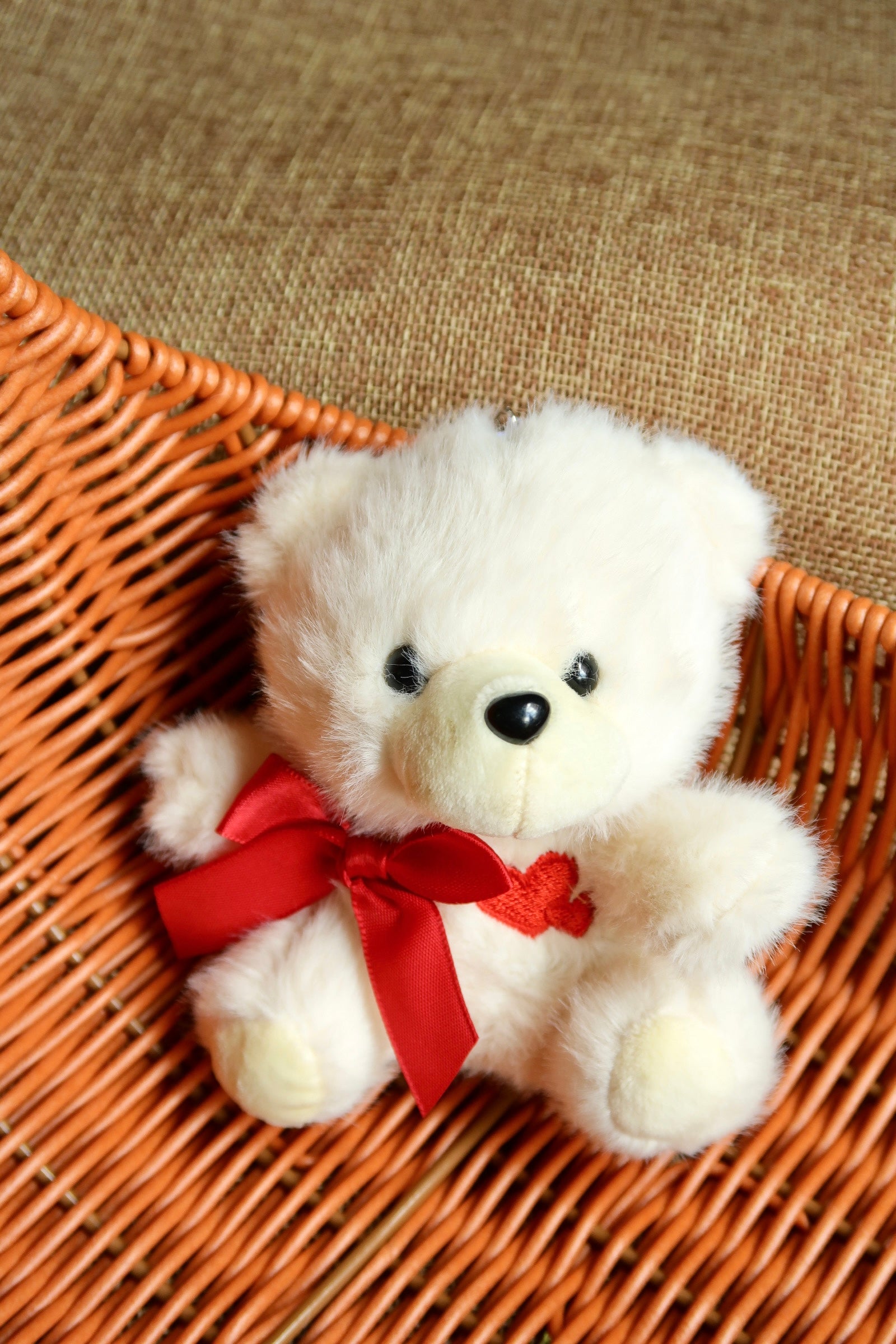 Teddy Bear - Valentines Collection