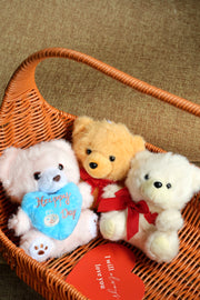 Teddy Bear - Valentines Collection