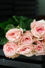 Rose - Litchi Pink