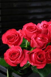 Rose - Pink Flyod