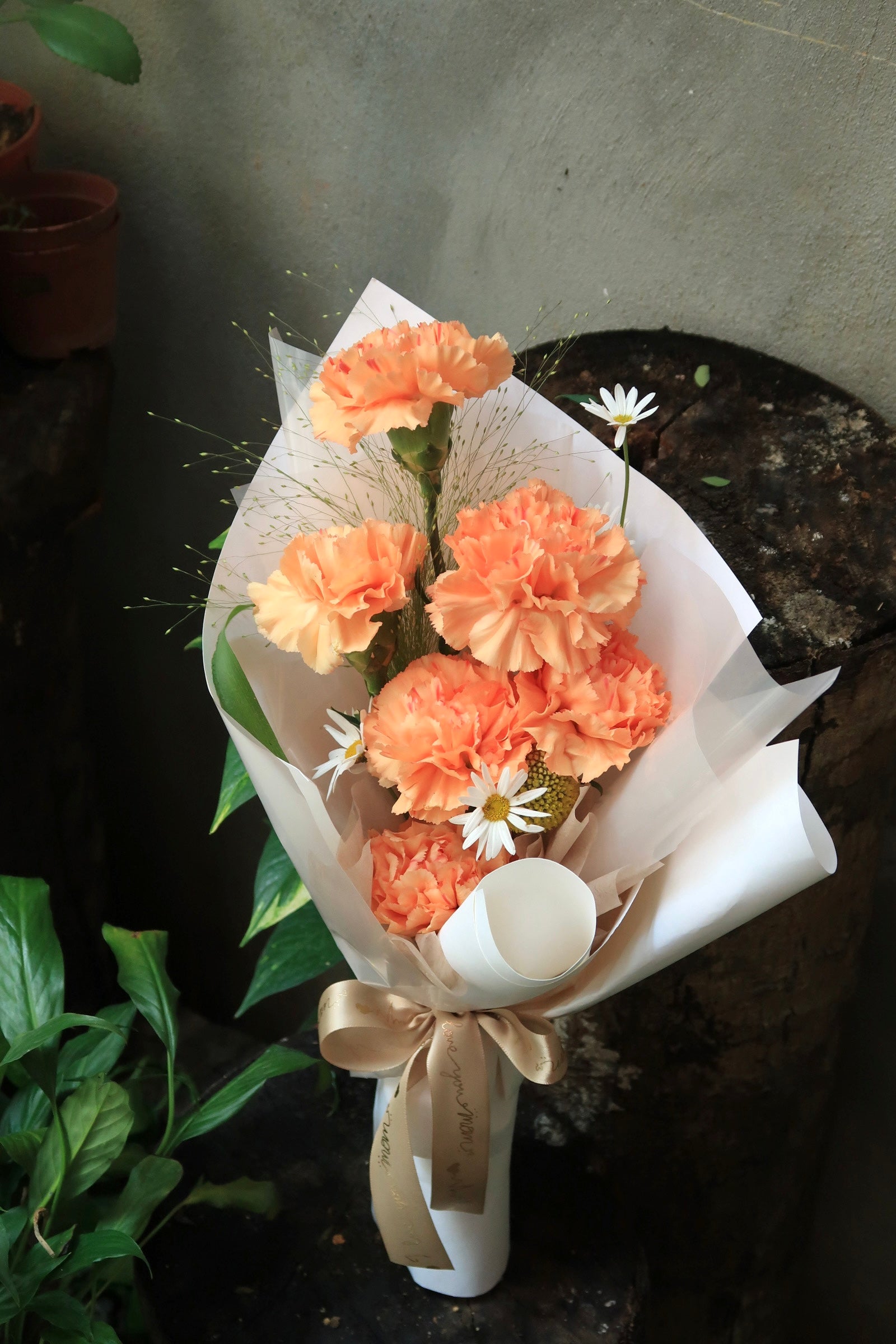 Bloom Kind