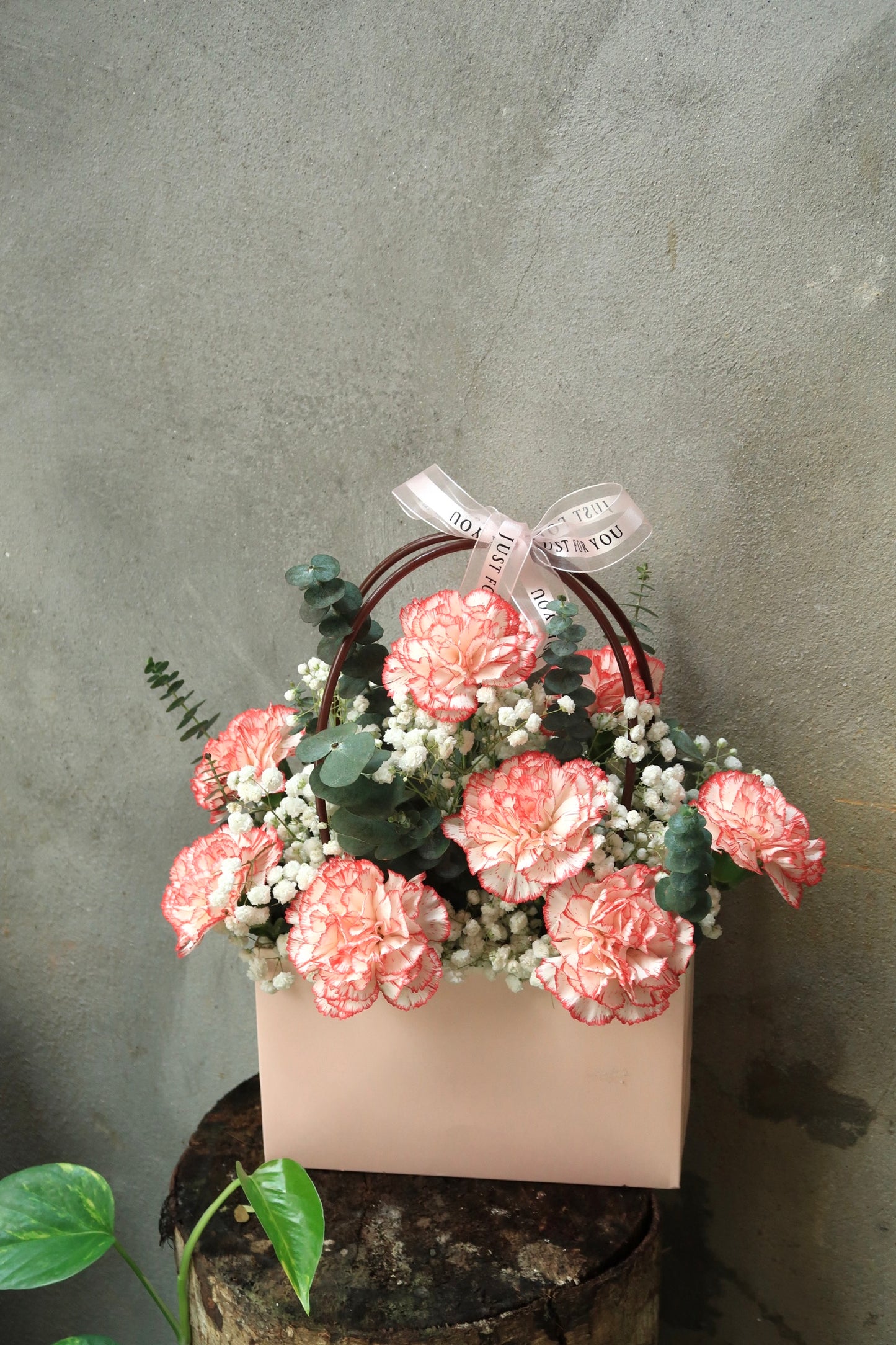 Carnation in Bag