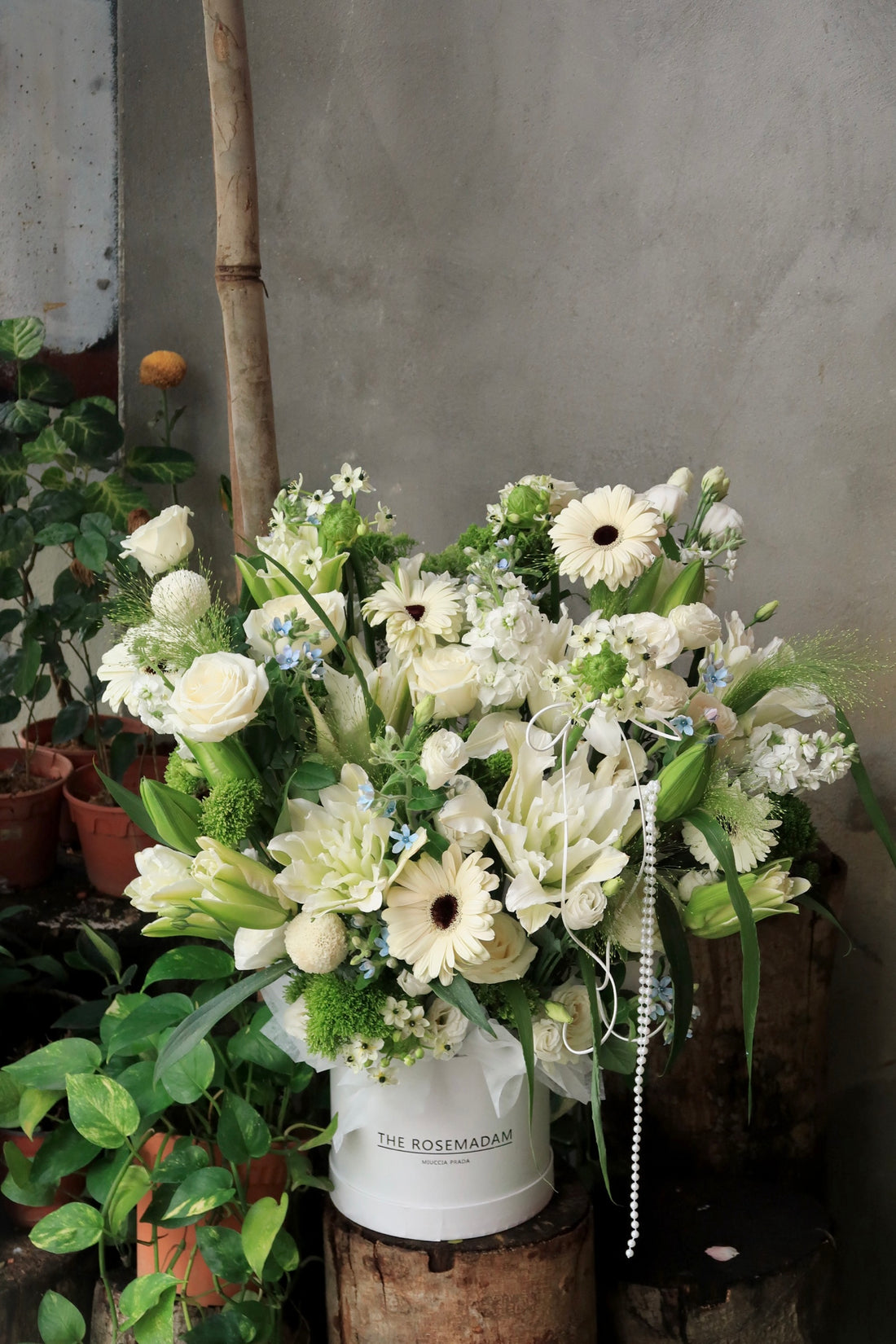 Dayang Ros Flower Boutique